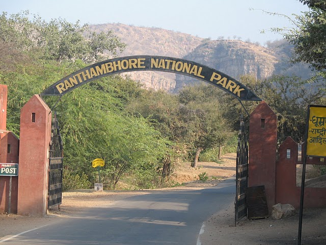 Nature's Wonder Tours, Ranthambhore