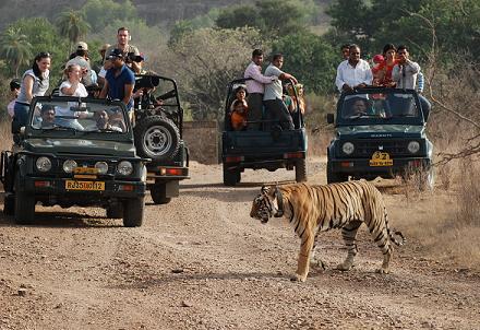 Jaipur-Ranthambhore Weekend trip